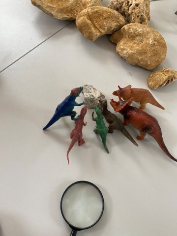 Warsztaty paleontologiczne